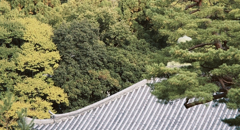 Milénios dobrados: visita gratuita ao labirinto do tempo vivo de Quioto Japão &mdash; #10