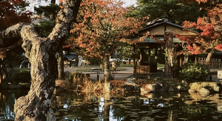 Milénios dobrados: visita gratuita ao labirinto do tempo vivo de Quioto Japão &mdash; #11