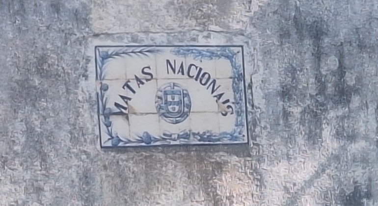 Serra da Estrela: escursione tra cascate e storie nascoste. global.countries. &mdash; #3