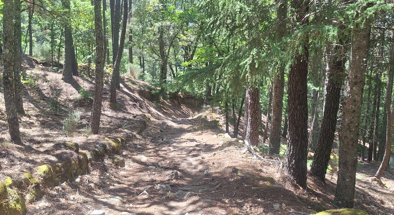 Serra da Estrela: escursione tra cascate e storie nascoste. global.countries. &mdash; #6
