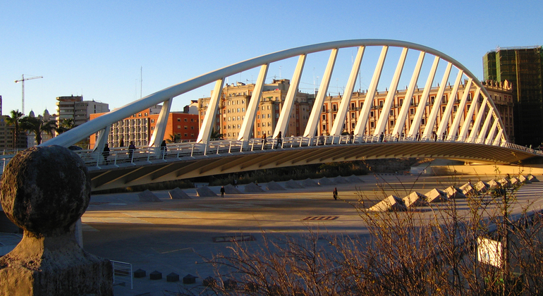 Free Walking Tour: Valencia Pasada por Agua