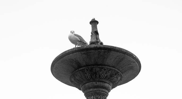 Discover Vigo: Private Historical and Cultural Walking Tour Spain &mdash; #3