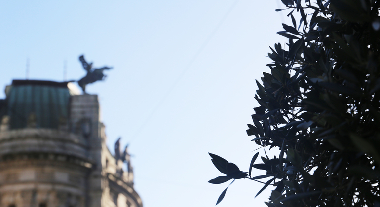 Discover Vigo: Private Historical and Cultural Walking Tour Spain &mdash; #6