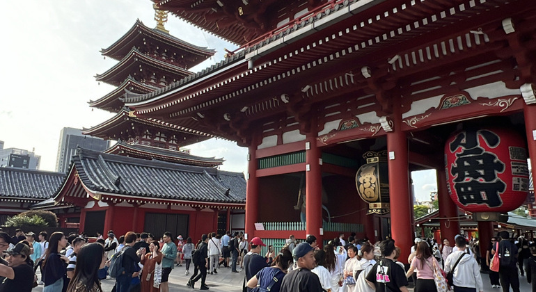 Tour of Tokyo: Highlights and Hidden Gems Japan &mdash; #5