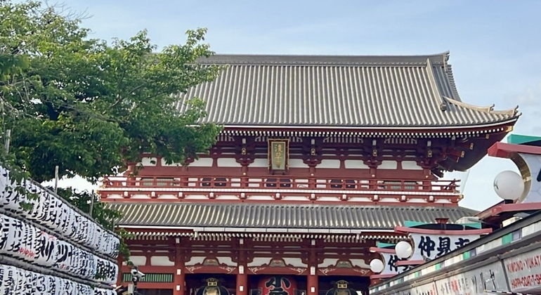 Tour of Tokyo: Highlights and Hidden Gems Japan &mdash; #7