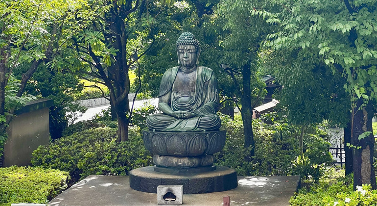 Tour of Tokyo: Highlights and Hidden Gems Japan &mdash; #10