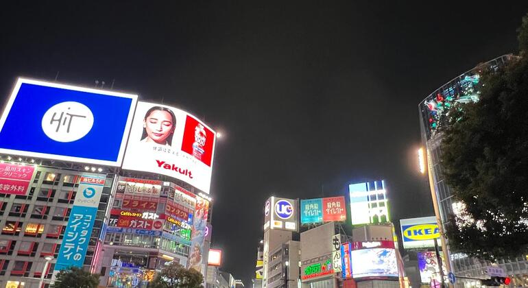 Tour of Tokyo: Highlights and Hidden Gems Japan &mdash; #13