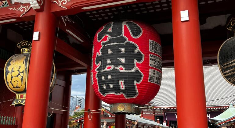 Tour of Tokyo: Highlights and Hidden Gems Japan &mdash; #15