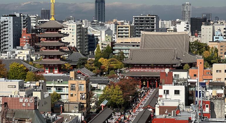 Tour of Tokyo: Highlights and Hidden Gems Japan &mdash; #16