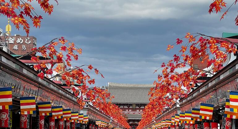 Tour of Tokyo: Highlights and Hidden Gems Japan &mdash; #17