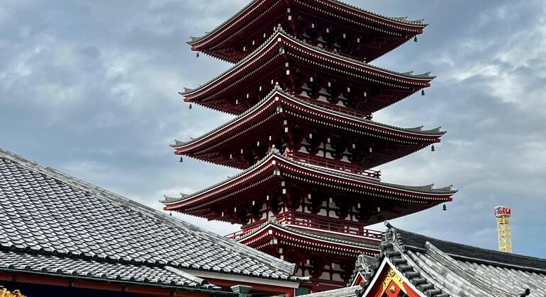 Tour of Tokyo: Highlights and Hidden Gems Japan &mdash; #20