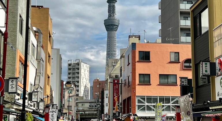 Tour of Tokyo: Highlights and Hidden Gems Japan &mdash; #21