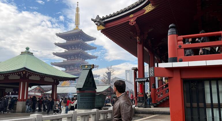 Tour of Tokyo: Highlights and Hidden Gems Japan &mdash; #23