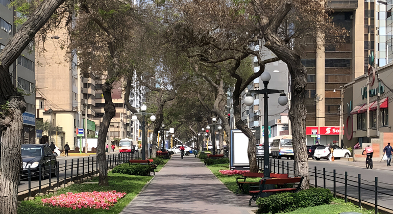 Miraflores Like a Local Free Tour Peru &mdash; #3