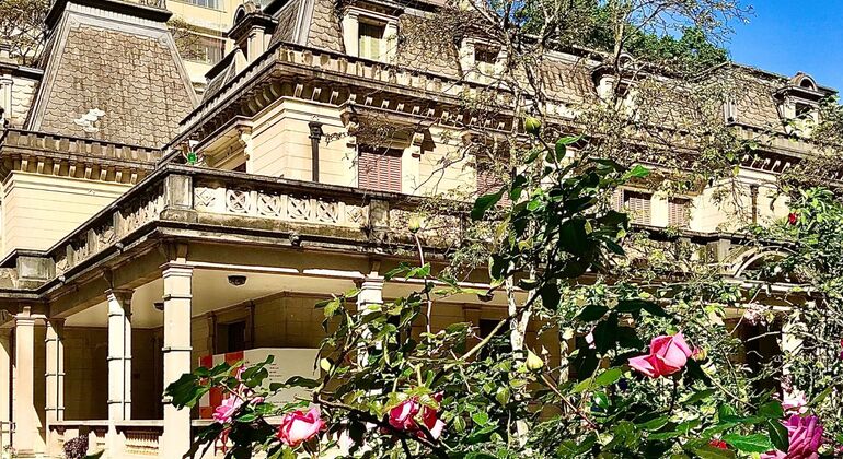 Paulista Ave Free Tour: Cultural Heart Brazil &mdash; #3