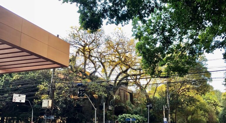 Paulista Ave Free Tour: Cultural Heart Brazil &mdash; #5