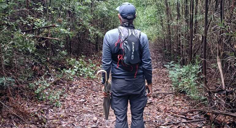 walking-tour-Moinho-das-Estrelas-es-4