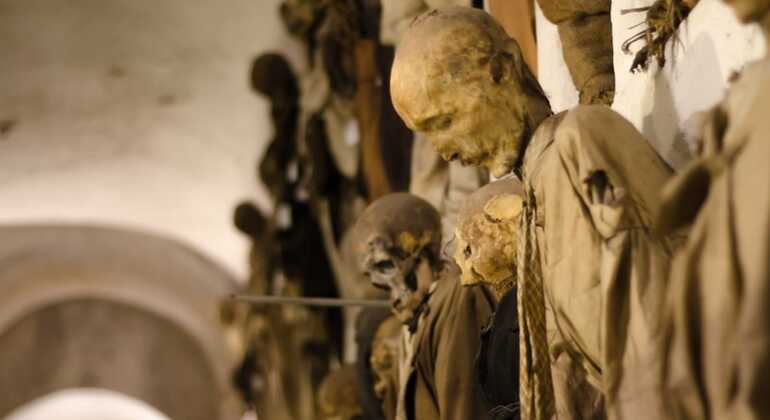 Beyond the Veil: Catacombs and Cemeteries of Palermo Provided by massimiliano