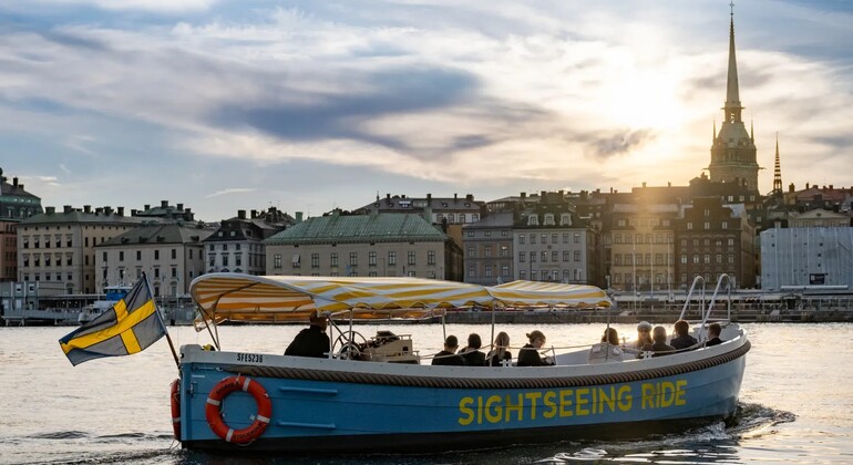 Stockholm by Land & Sea: Walking Tour & Electric Boat Ride