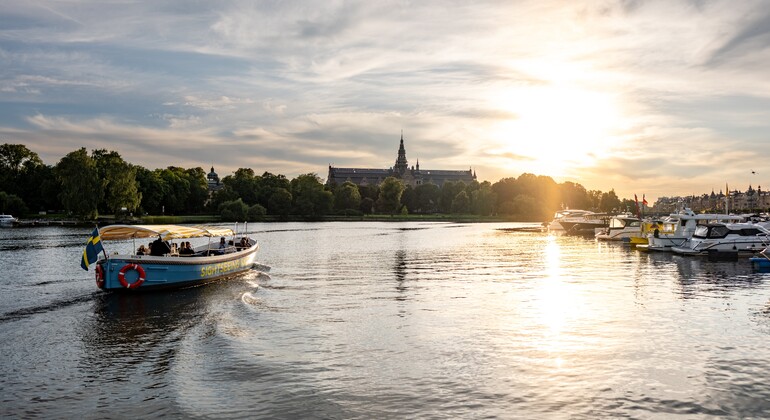 stockholm-by-land-sea-walking-tour-electric-boat-ride-en-1