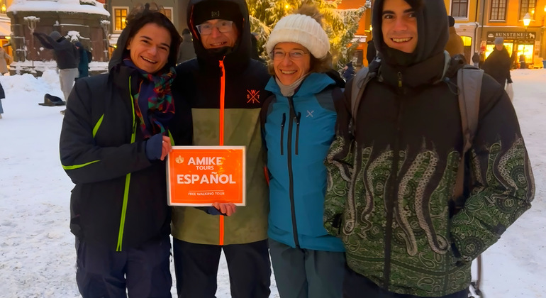 stockholm-by-land-sea-walking-tour-electric-boat-ride-en-3