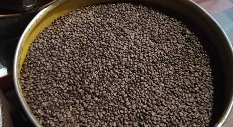 Bogota Historical Center Tour Colombia &mdash; #4