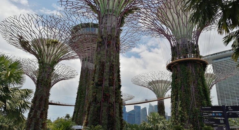 De l'époque coloniale à l'époque contemporaine : Le voyage à Singapour Visite guidée gratuite Singapour &mdash; #4