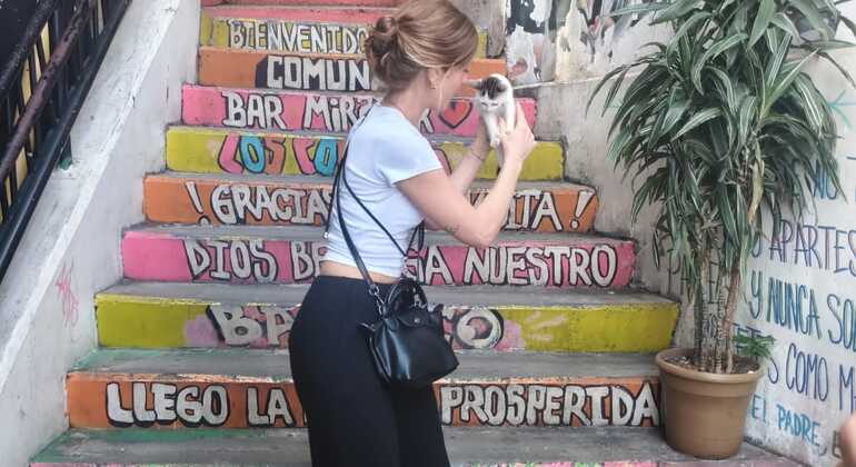 Comuna 13: Graffiti Free Tour & Street Food with Teleferic Colombia &mdash; #14