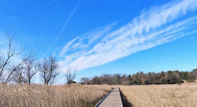 coastal-views-free-tour-of-koper-en-1