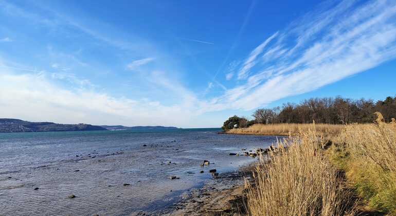 coastal-views-free-tour-of-koper-en-2