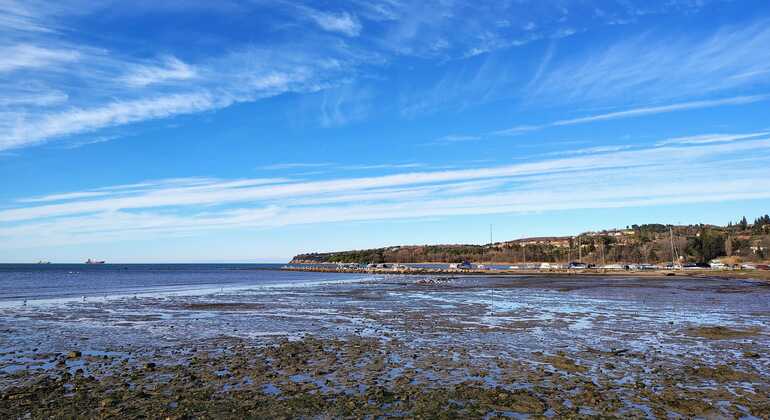 coastal-views-free-tour-of-koper-en-5