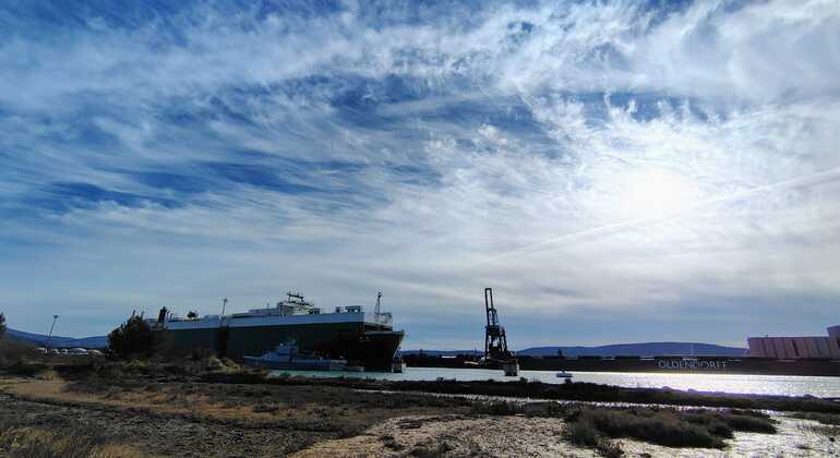 Vistas de la costa Visita gratuita a Koper