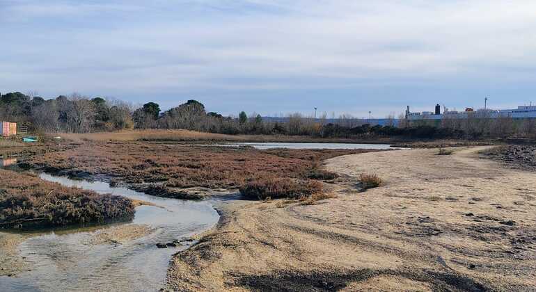 coastal-views-free-tour-of-koper-en-6