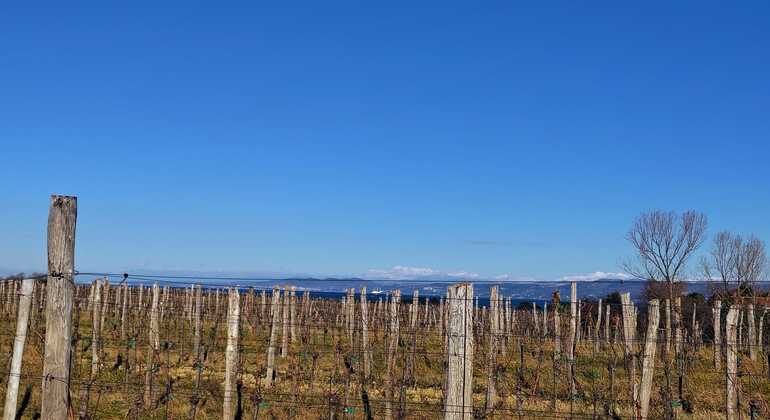 debeli-rtic-nature-free-tour-es-1