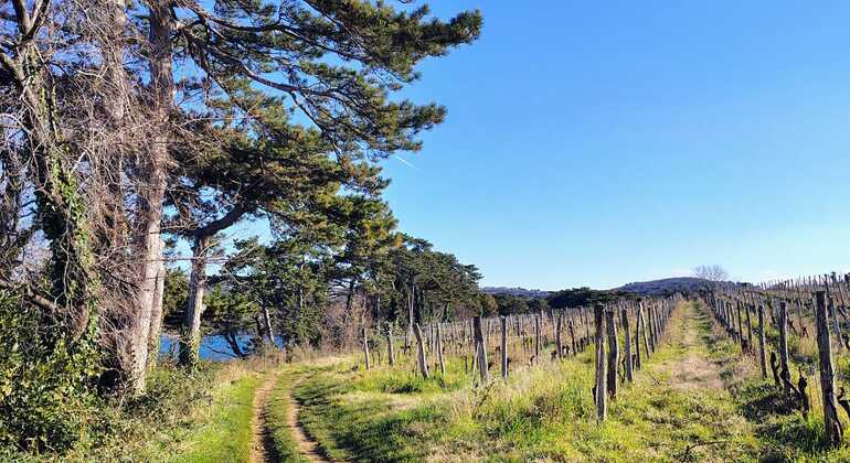 debeli-rtic-nature-free-tour-es-2