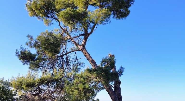 debeli-rtic-nature-free-tour-es-3