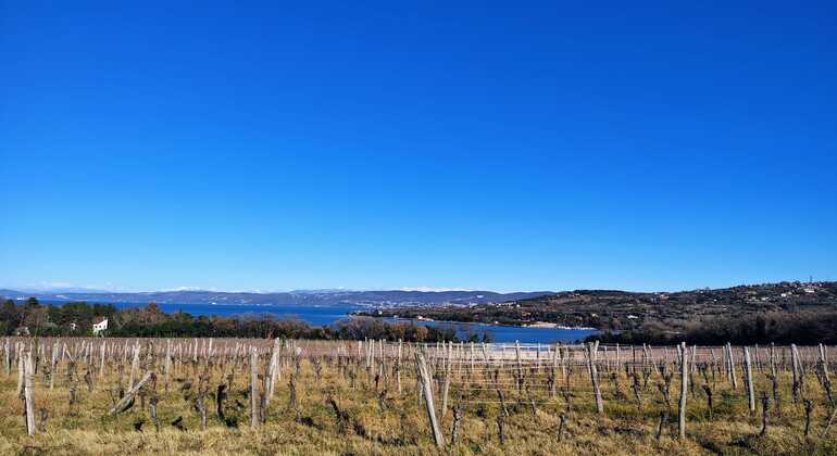 debeli-rtic-nature-free-tour-es-4