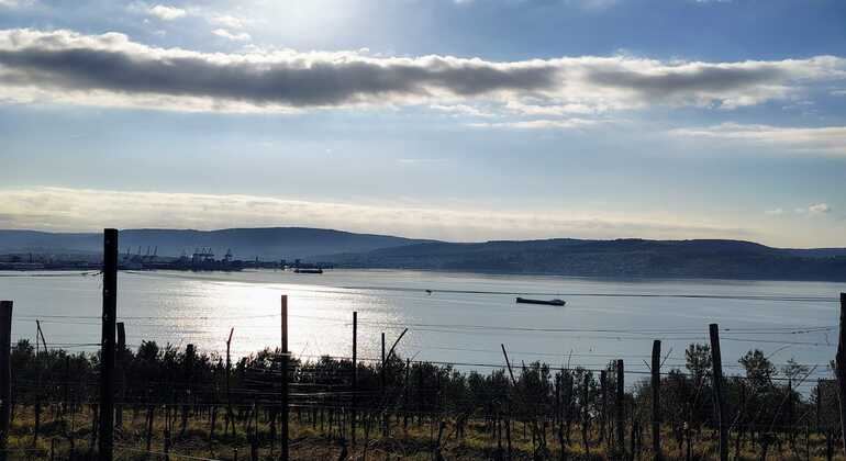 debeli-rtic-nature-free-tour-es-5