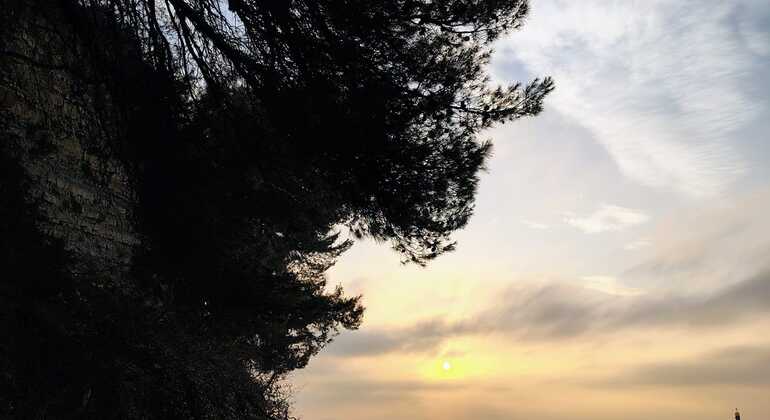 debeli-rtic-nature-free-tour-es-8