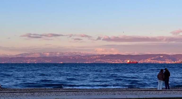 Excursión marítima gratuita de Koper a Izola