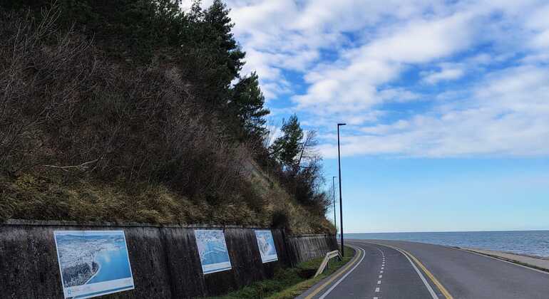 seaside-free-tour-from-koper-to-izola-en-9