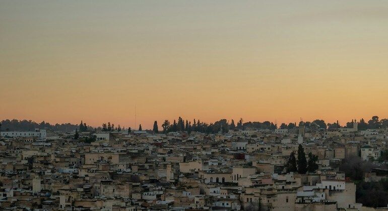The Secrets of Fes Free Tour