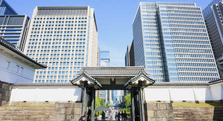 Tokyo Castle & Imperial Palace Shogun Tour Japan &mdash; #6