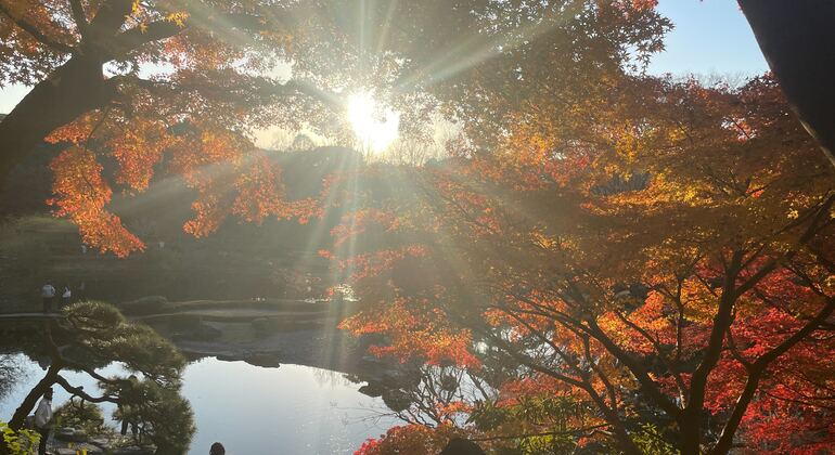 Tokyo Castle & Imperial Palace Shogun Tour Japan &mdash; #15