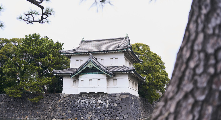 Tokyo Castle & Imperial Palace Shogun Tour Japan &mdash; #3