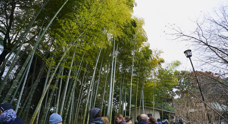Tokyo Castle & Imperial Palace Shogun Tour Japan &mdash; #11