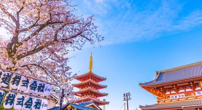 Tokio : Asakusa Food Tour - 12 Platos y 3 Bebidas Japón &mdash; #19