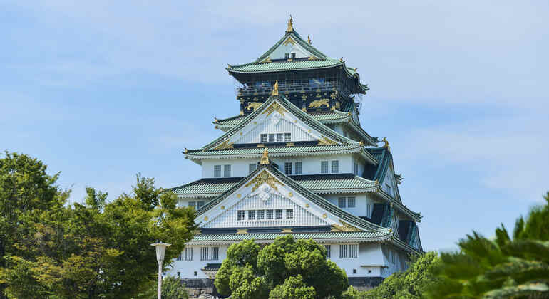 Osaka: Visita guidata alla storia del castello con biglietto d'ingresso