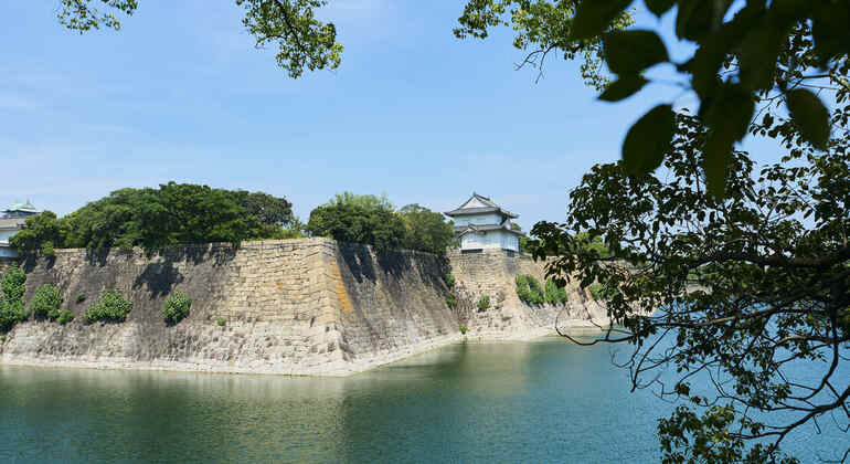 Osaka: Visita guiada por la historia del castillo con entrada Japón &mdash; #2