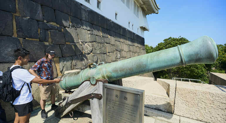 Osaka: Visita guiada por la historia del castillo con entrada Japón &mdash; #7